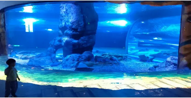 Acrylic Aquarium Wholesale Customized Package by Xchacrylic 6