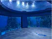 Acrylic Aquarium Wholesale Customized Package by Xchacrylic 5