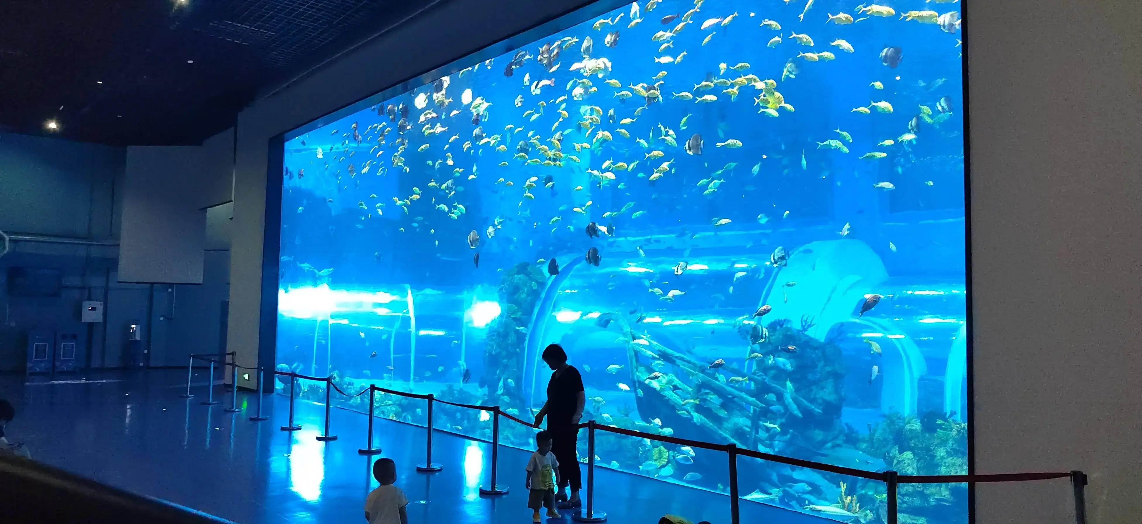 Acrylic Aquarium Wholesale Customized Package by Xchacrylic 4