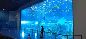 Acrylic Aquarium Wholesale Customized Package by Xchacrylic 4