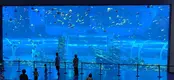 Acrylic Aquarium Wholesale Customized Package by Xchacrylic 3