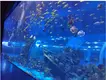 Acrylic Aquarium Wholesale Customized Package by Xchacrylic 7