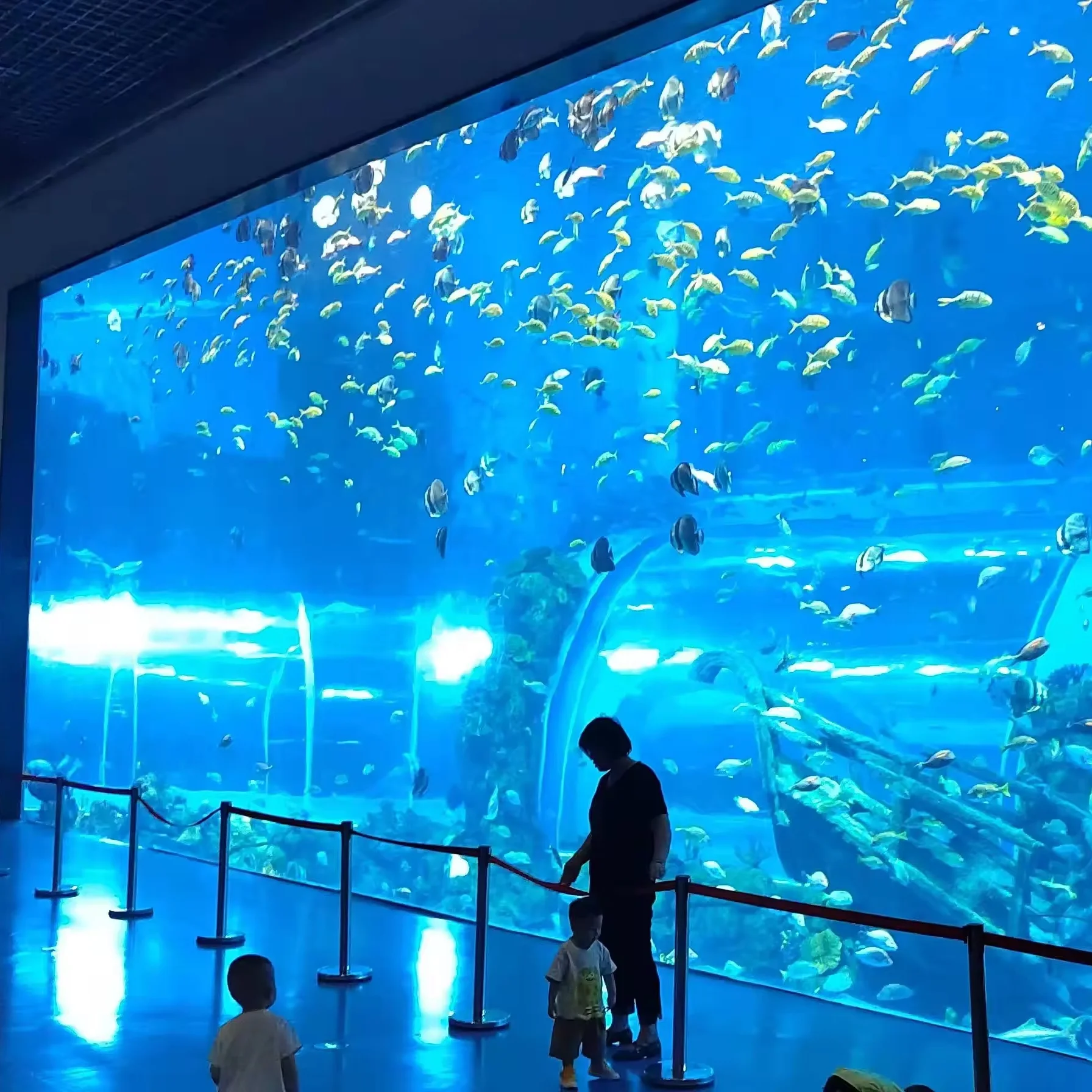 Acrylic Aquarium Wholesale Customized Package by Xchacrylic 1