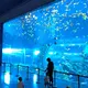 Acrylic Aquarium Wholesale Customized Package by Xchacrylic 1