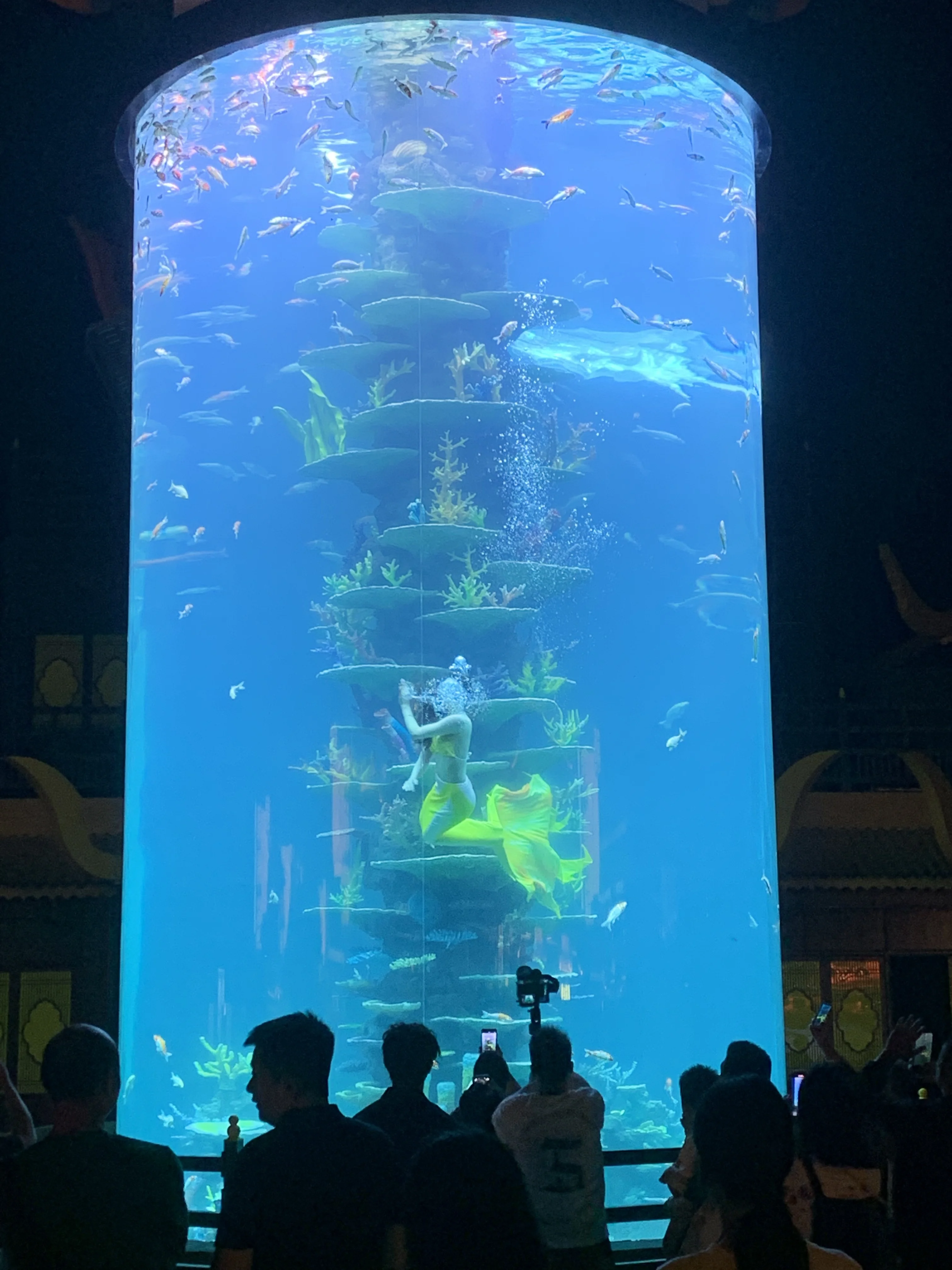 2025 Aquariums Cylindrical Acrylic Fish Tank-1744081759428218 3
