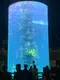 Aquarium Acrylic Tank Large Acrylic Aquarium - - Xchacrylic 3
