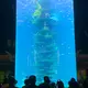 Plexiglass Aquarium Xingcheng by Xchacrylic 2