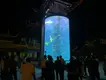 Plexiglass Aquarium Xingcheng by Xchacrylic 4