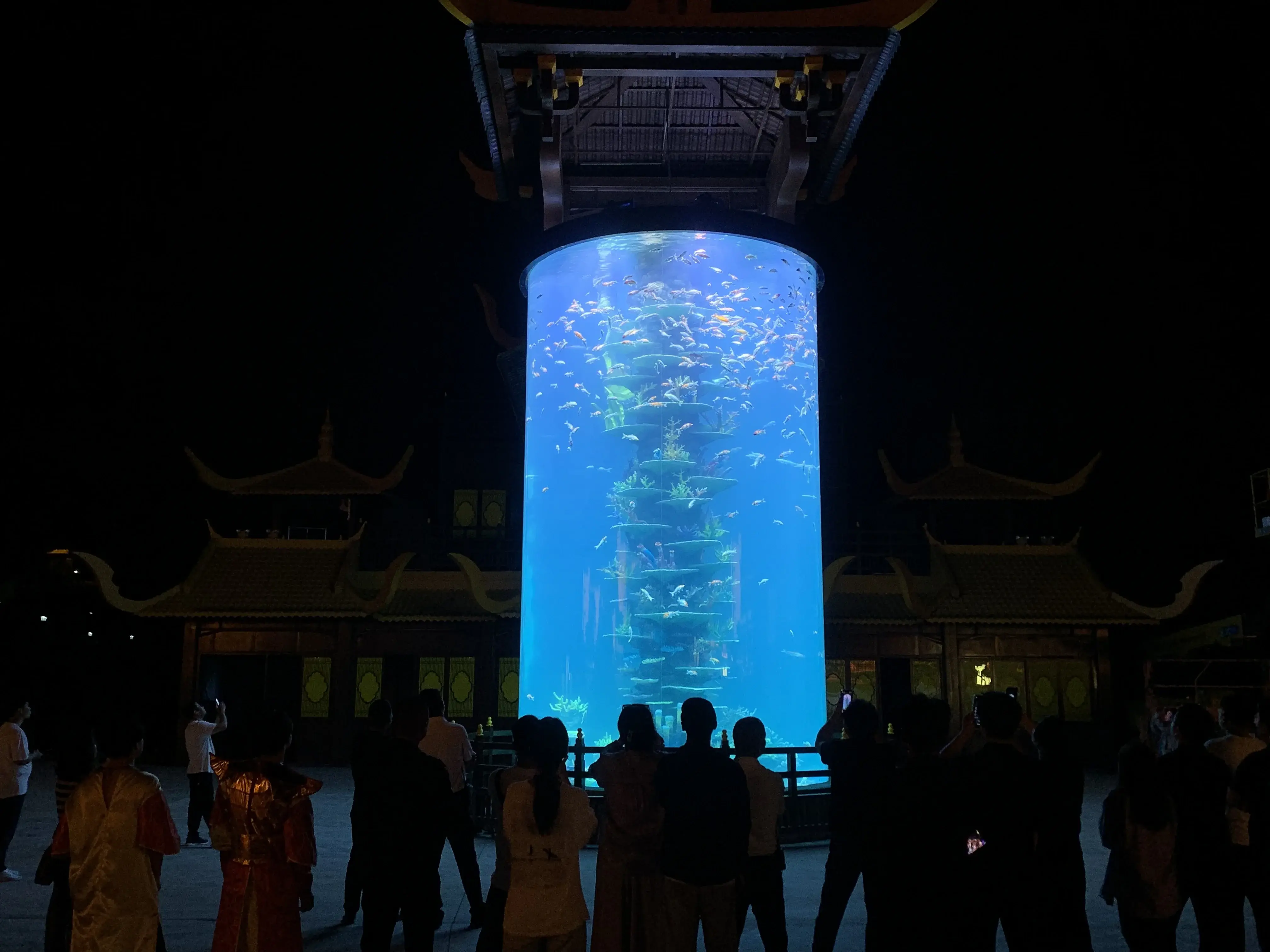 Plexiglass Aquarium Xingcheng by Xchacrylic 5