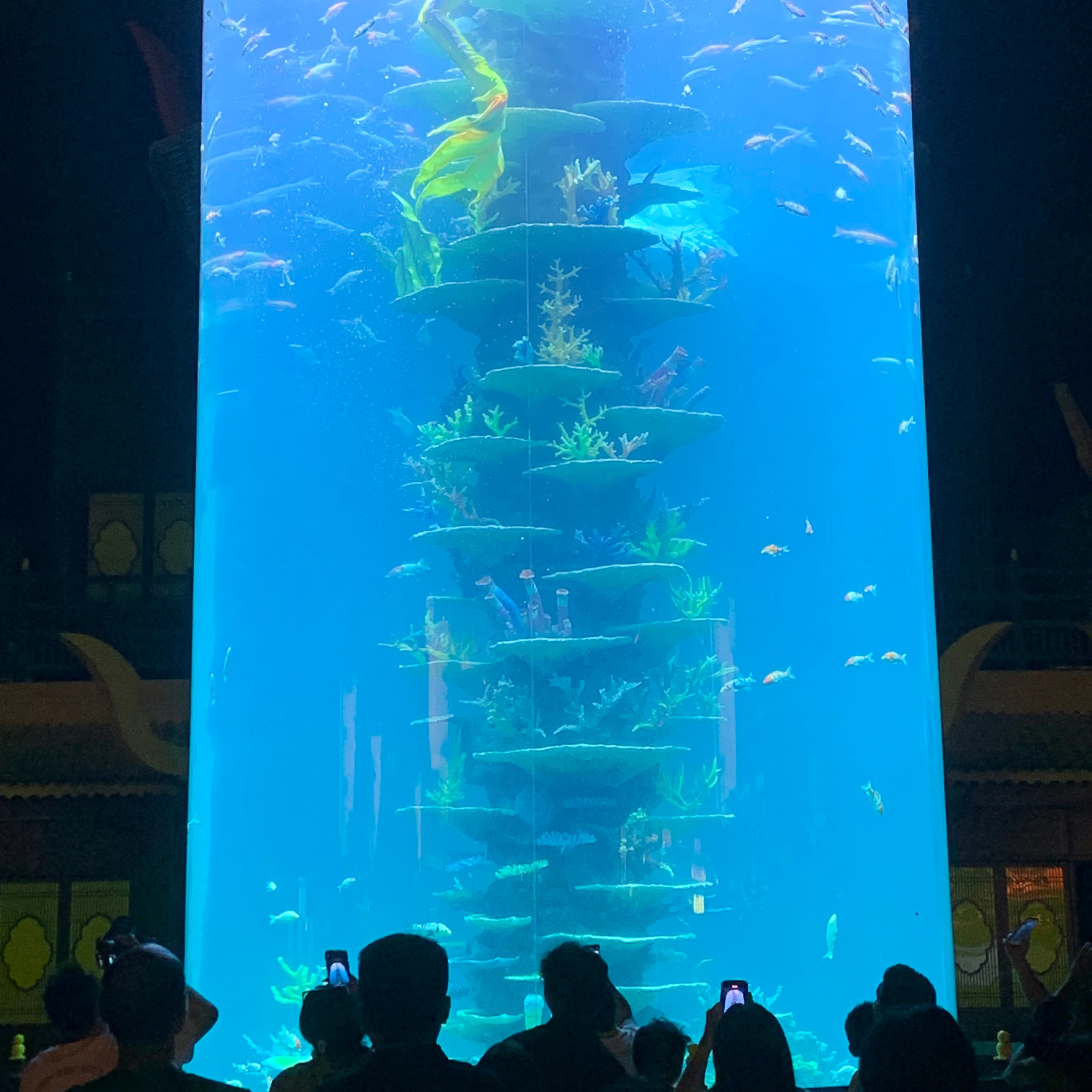 2025 Xingcheng acrylic glass cylinder fish tank aquariums 1