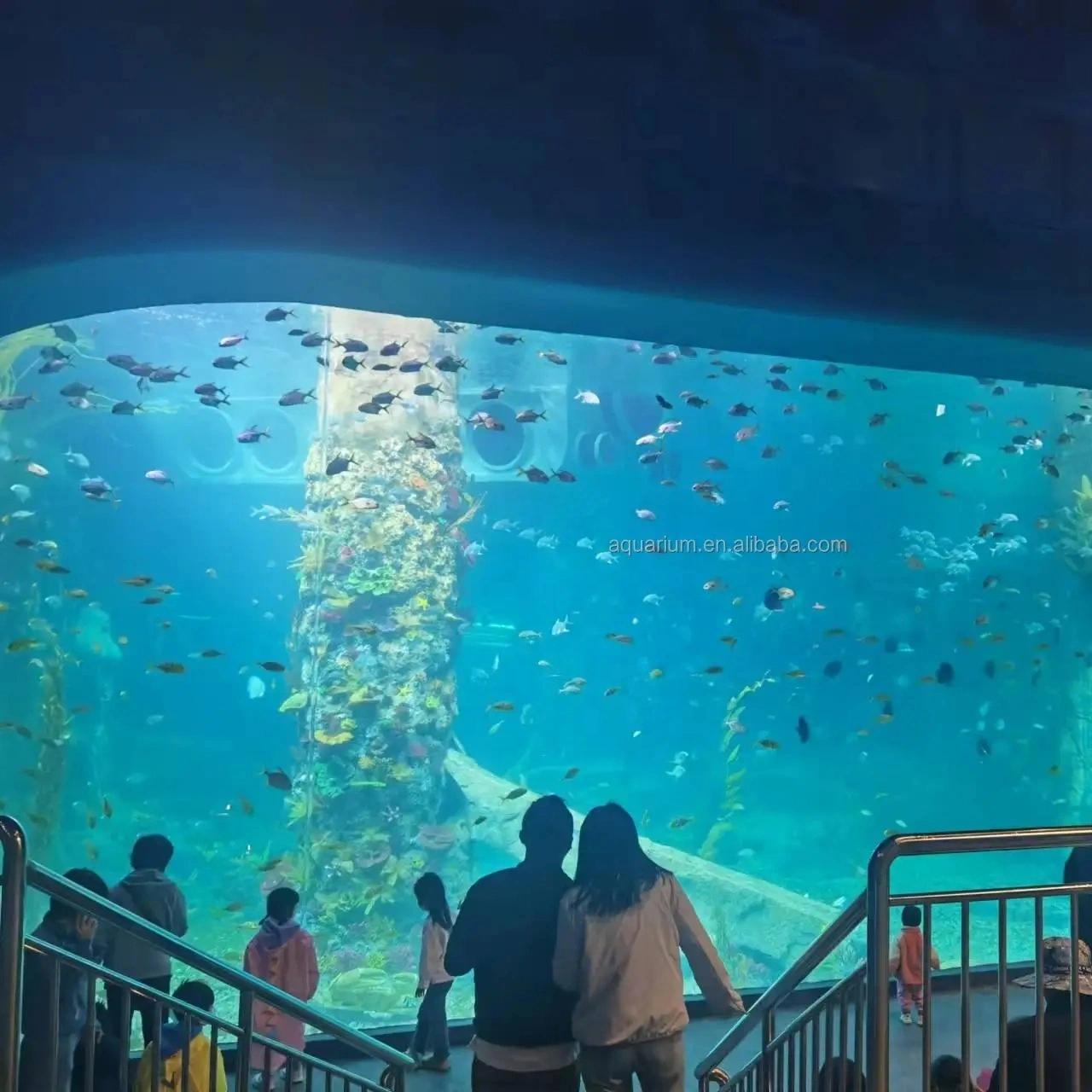 2024 Hot Sales Acrylic Glass Panel Sheet Aquarium Project 1