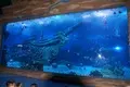 Mini Acrylic Aquarium 1.2g/cm3 - - Xchacrylic 7
