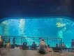 Mini Acrylic Aquarium 1.2g/cm3 - - Xchacrylic 4