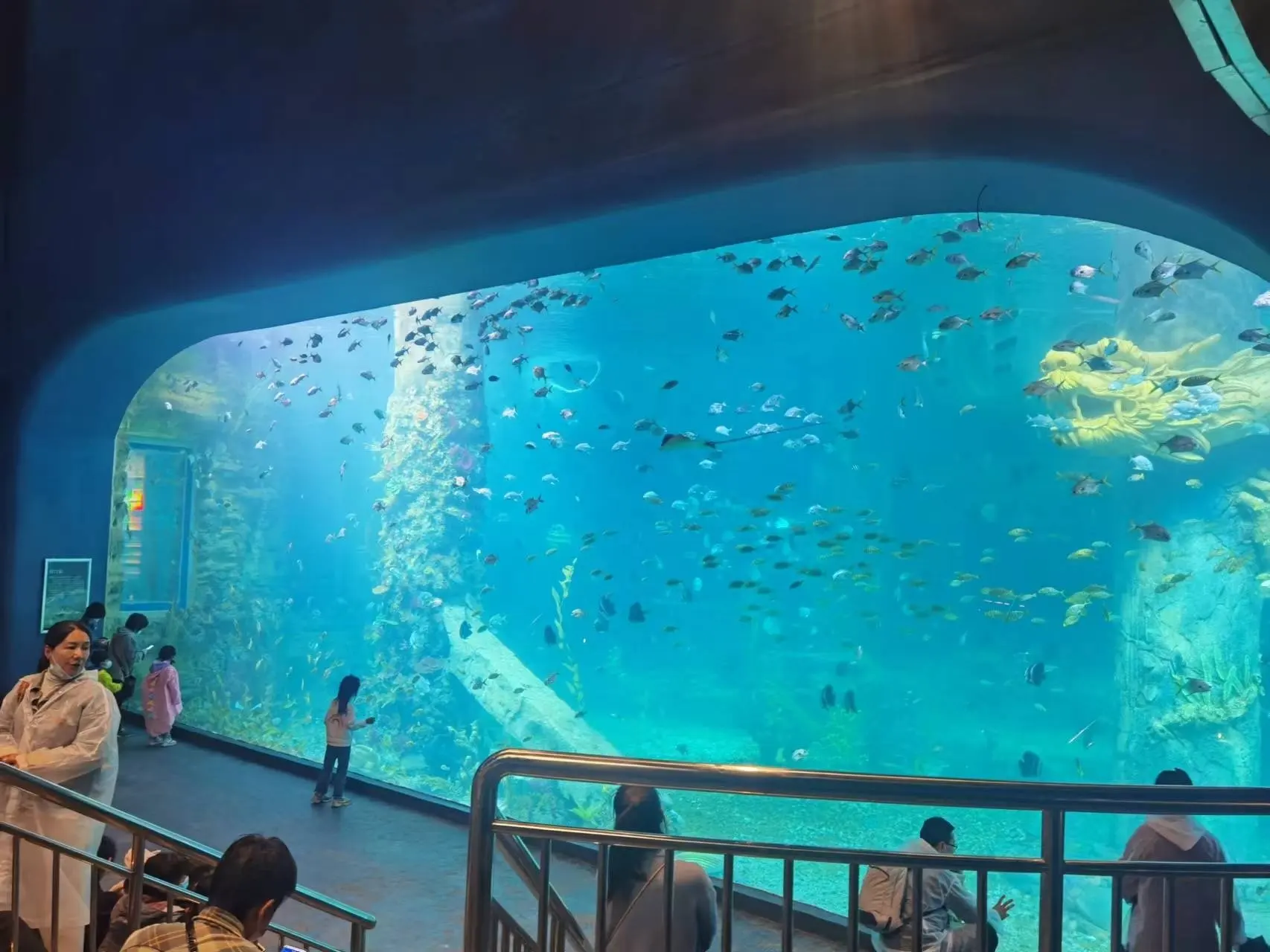 Mini Acrylic Aquarium 1.2g/cm3 - - Xchacrylic 5
