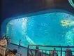 Mini Acrylic Aquarium 1.2g/cm3 - - Xchacrylic 5