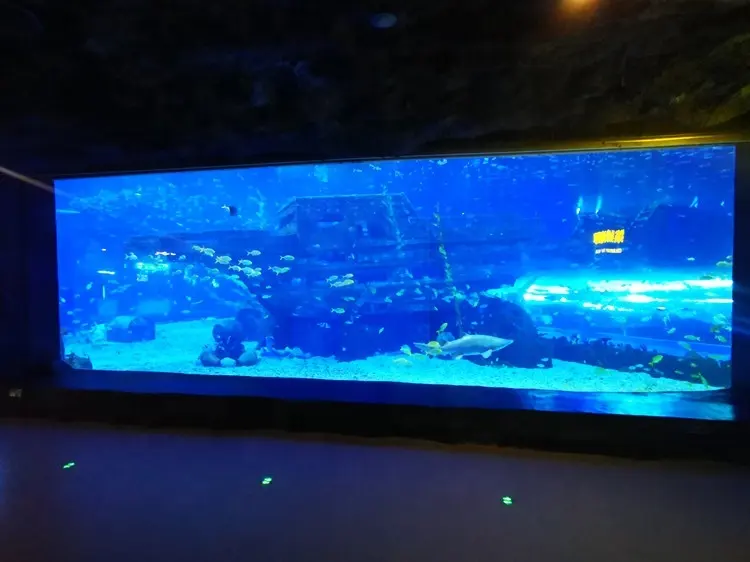 Mini Acrylic Aquarium 1.2g/cm3 - - Xchacrylic 6
