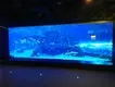 Mini Acrylic Aquarium 1.2g/cm3 - - Xchacrylic 6