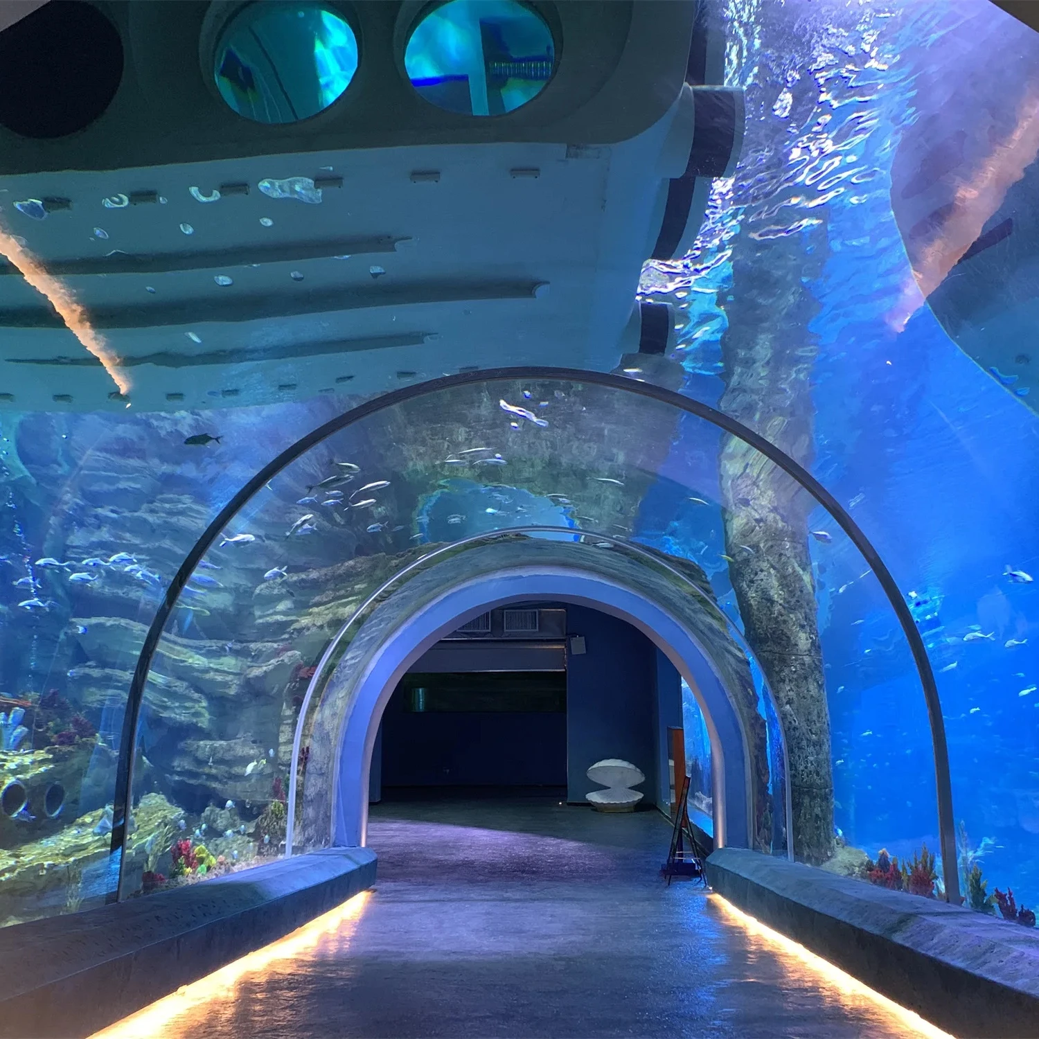 Tunnel Aquarium 4.5L by Xchacrylic 2