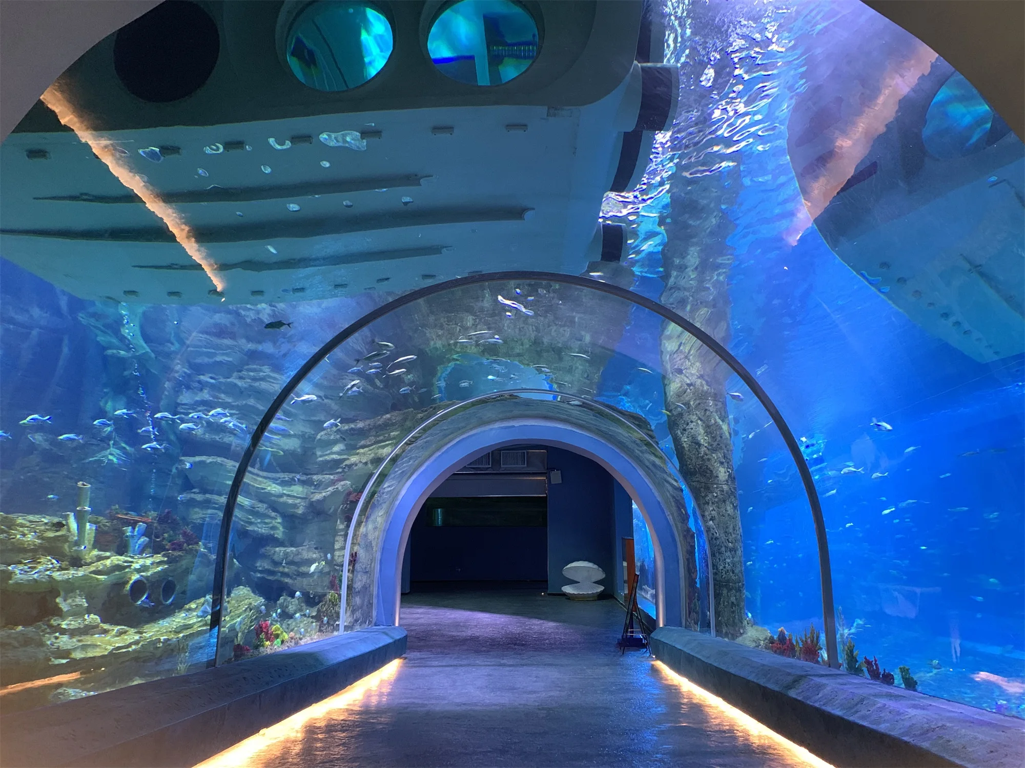 Tunnel Aquarium 4.5L by Xchacrylic 4