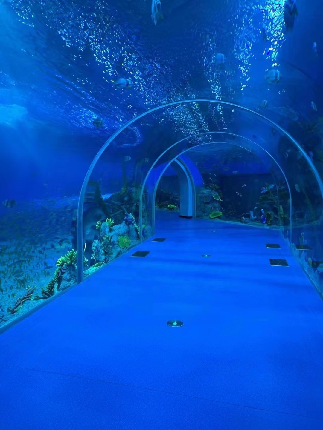 Aquarium Tunnel Xc Acrylic - - Xchacrylic 6