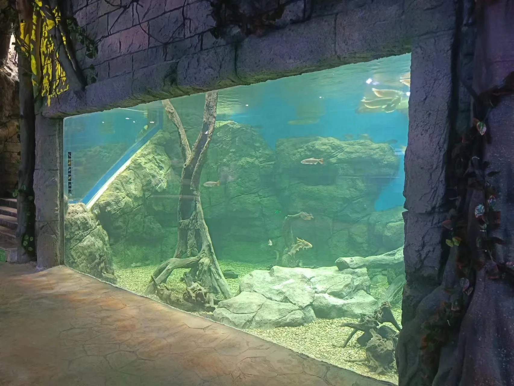 Custom Built Aquarium Transparent - - Xchacrylic 4