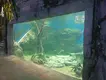 Custom Built Aquarium Transparent - - Xchacrylic 4