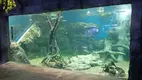 Custom Built Aquarium Transparent - - Xchacrylic 5