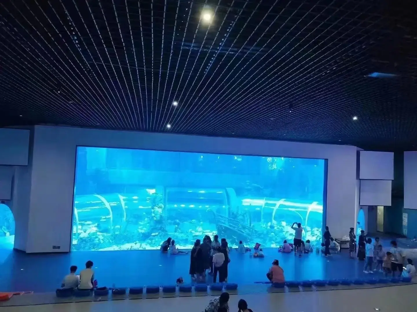 Custom Built Aquarium Transparent - - Xchacrylic 6