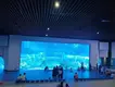 Custom Built Aquarium Transparent - - Xchacrylic 6
