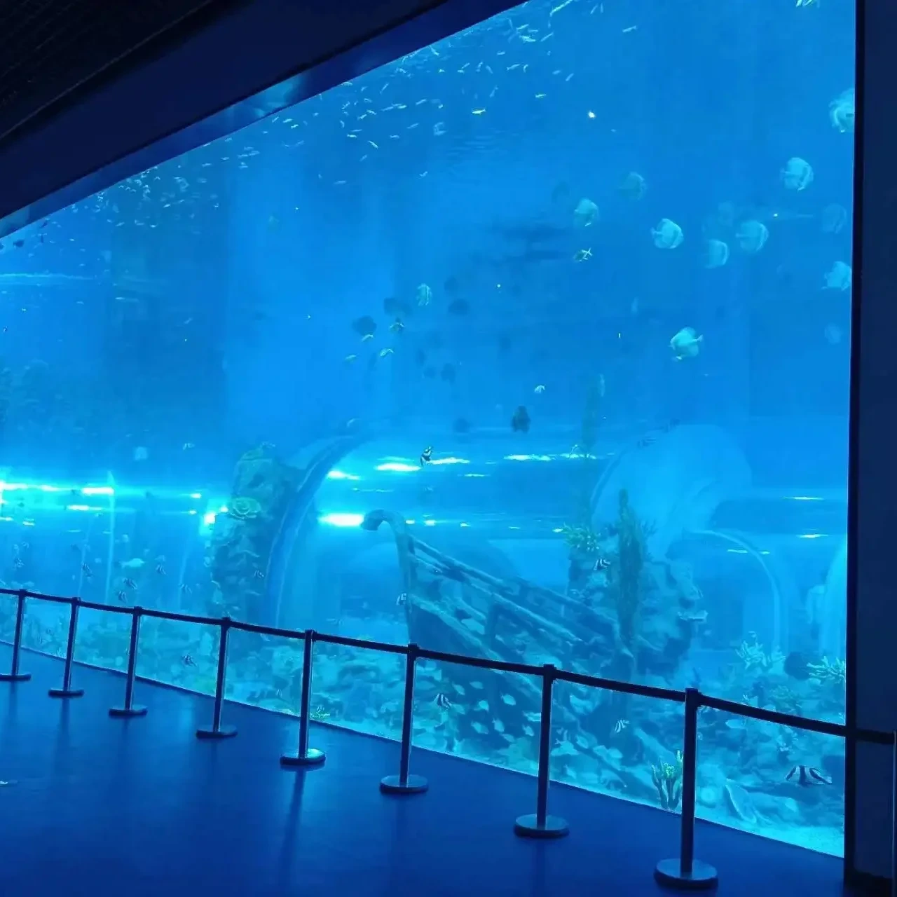 Customized Transparent Acrylic Glass Sheet Project 1