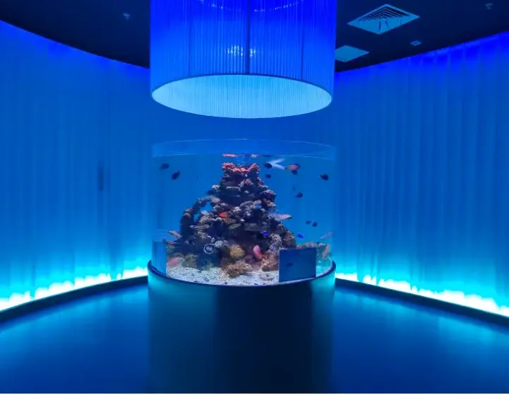 Custom Design Aquariums Clear - - Xchacrylic 4
