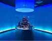 Custom Design Aquariums Clear - - Xchacrylic 4