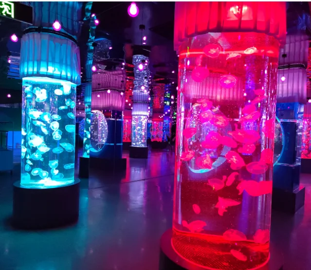 Acrylic Custom Aquariums 4.5L - - Xchacrylic 3