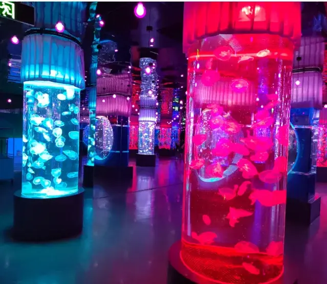 Custom Design Aquariums Clear - - Xchacrylic 3