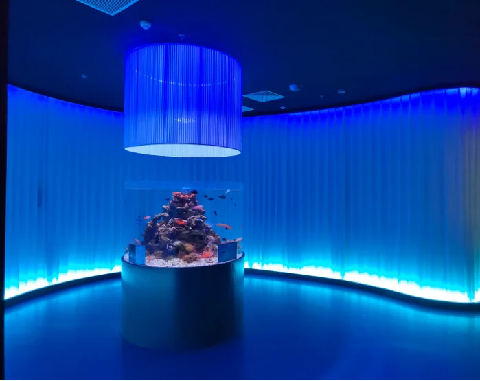 News Acrylic Aquarium Project Of Cylindrical Acrylic Aquarium 1