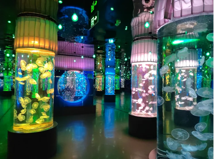 Acrylic Custom Aquariums 4.5L - - Xchacrylic 5