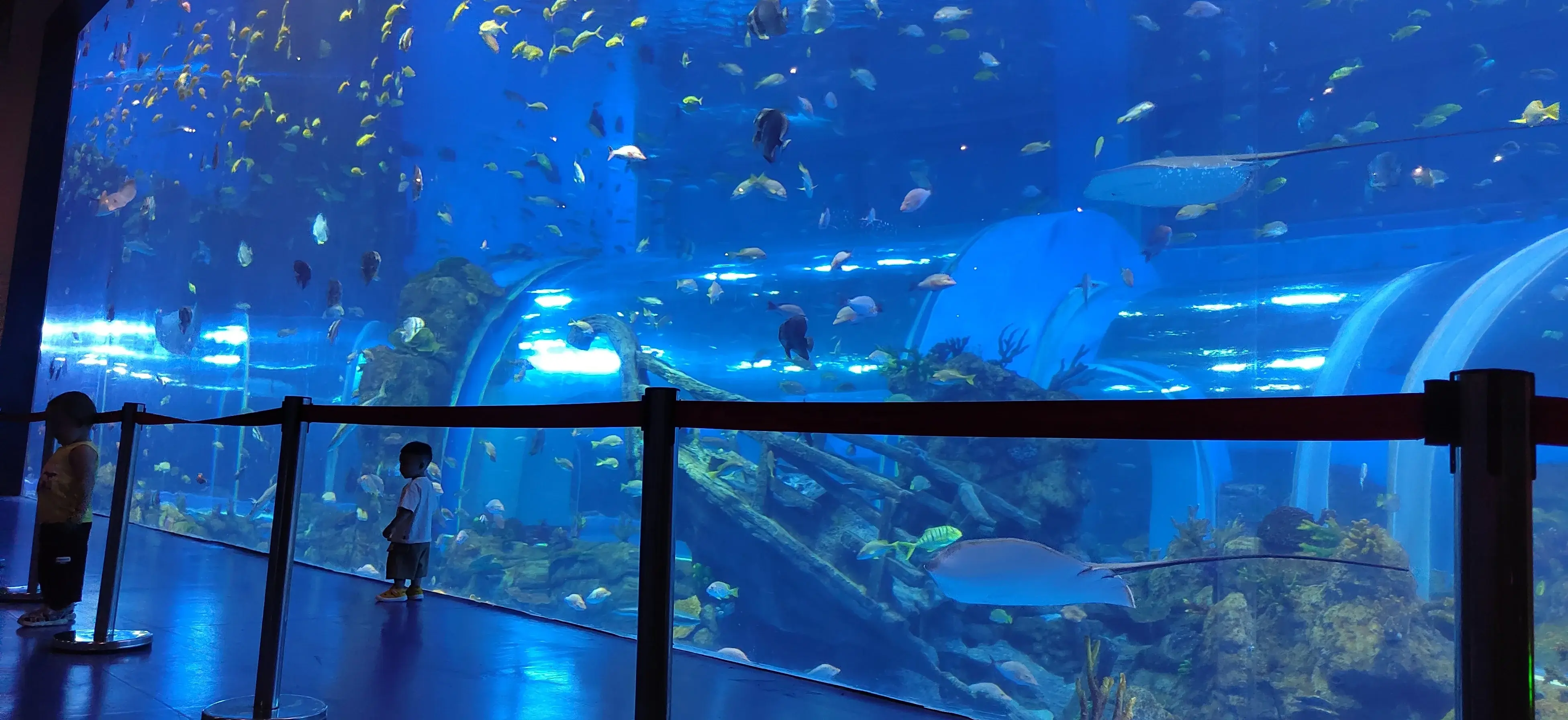 Custom Made Aquarium Tanks Moulding by Xchacrylic 4