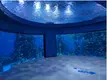 Custom Made Aquarium Tanks Moulding by Xchacrylic 5