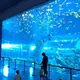 Custom Made Aquarium Tanks Moulding by Xchacrylic 2