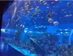 Custom Made Aquarium Tanks Moulding by Xchacrylic 7