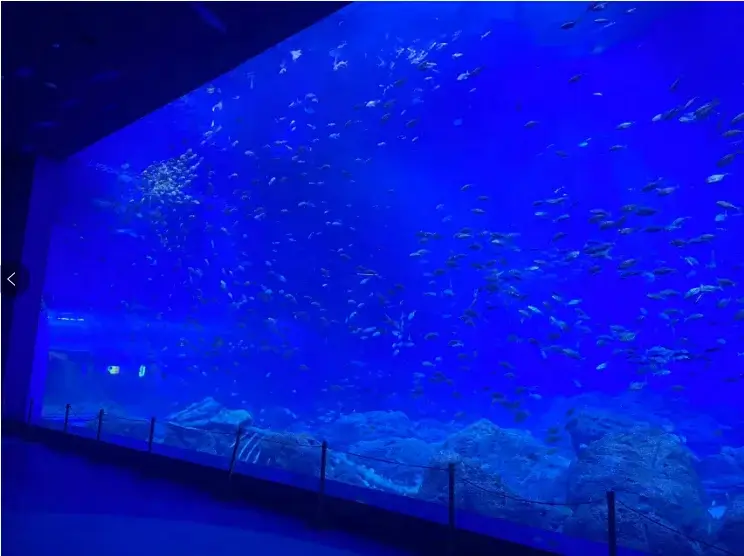 Custom Made Aquarium Tanks Moulding by Xchacrylic 6