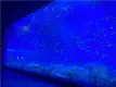 Custom Made Aquarium Tanks Moulding by Xchacrylic 6