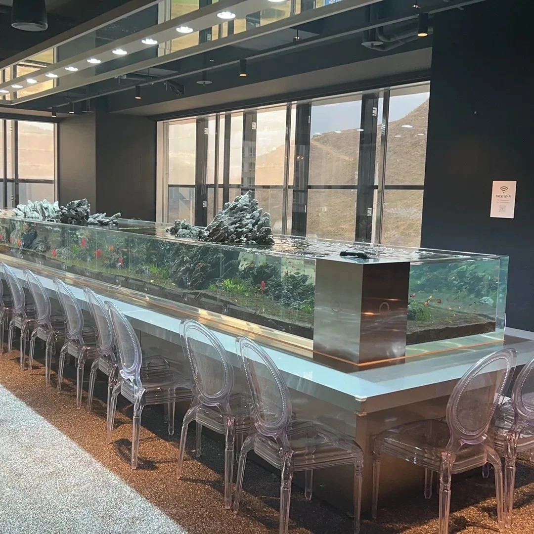 Dự án bể cá thủy tinh acrylic 2025 vuông 1