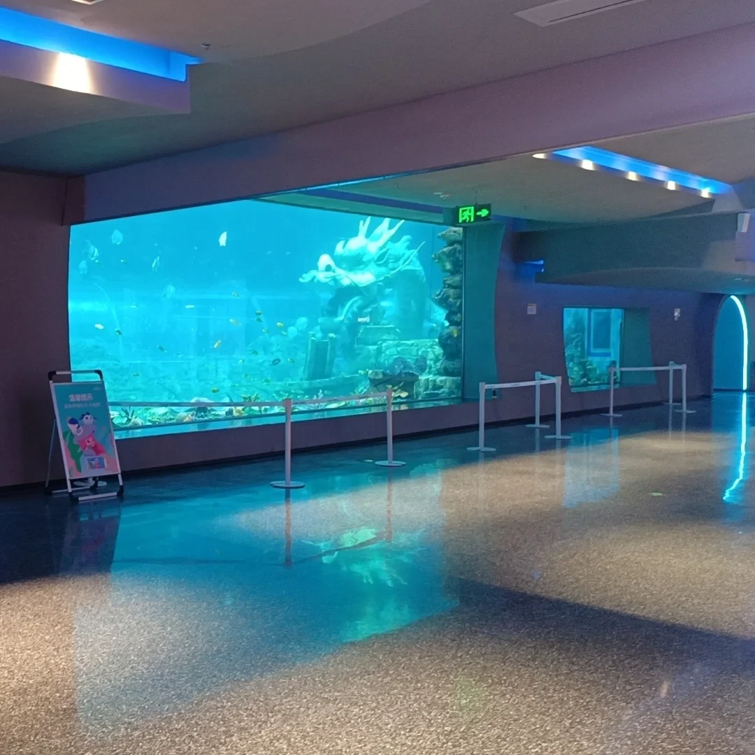 Customized Acrylic Aquarium Panel For Aquarium Project 1