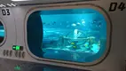 Custom Plexiglass Sheets Aquariums by Xchacrylic 4