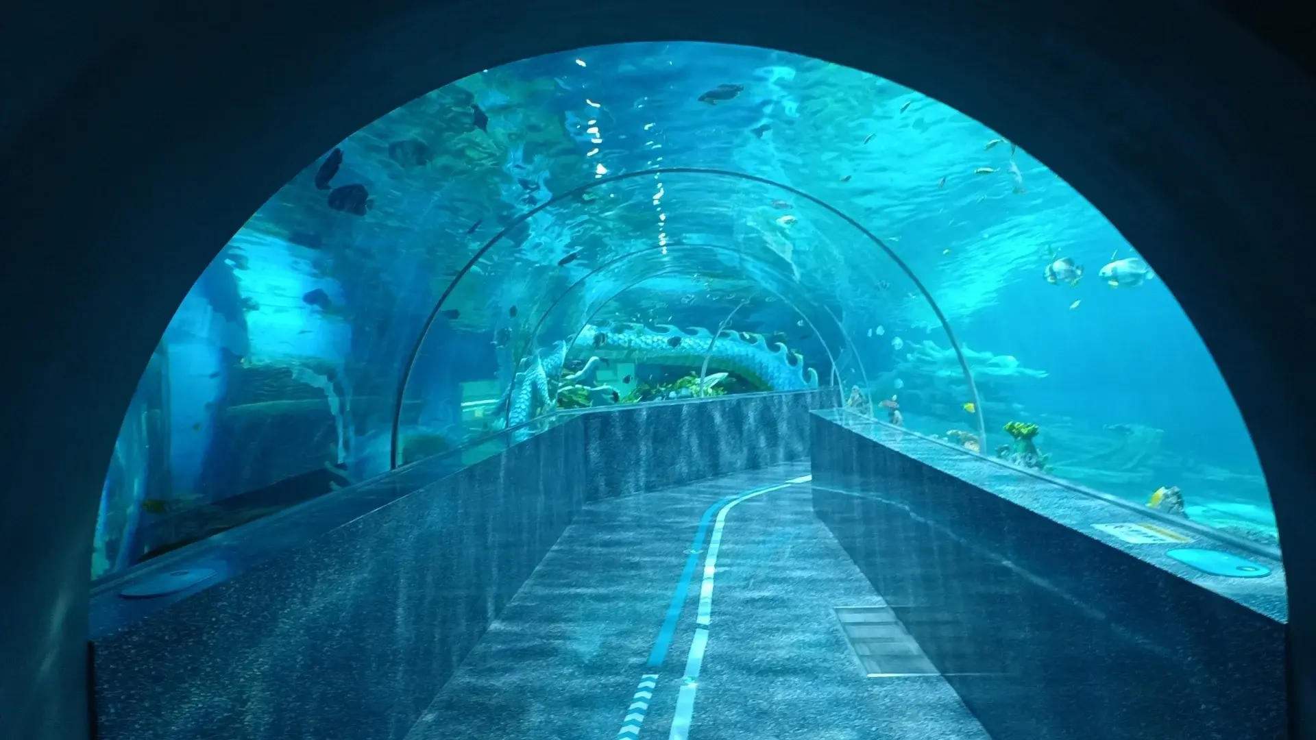 Custom Plexiglass Sheets Aquariums by Xchacrylic 3