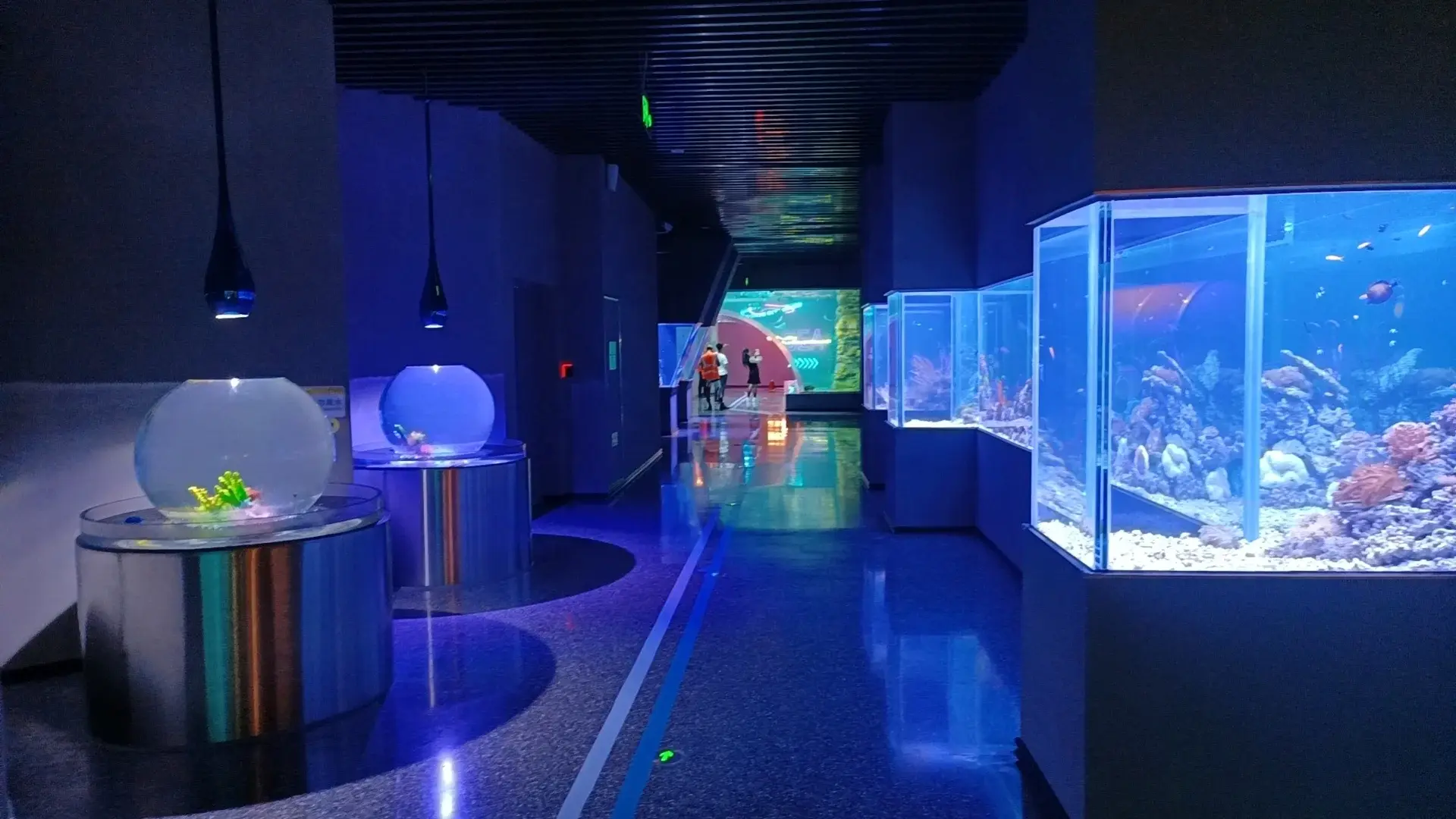 Custom Plexiglass Sheets Aquariums by Xchacrylic 6