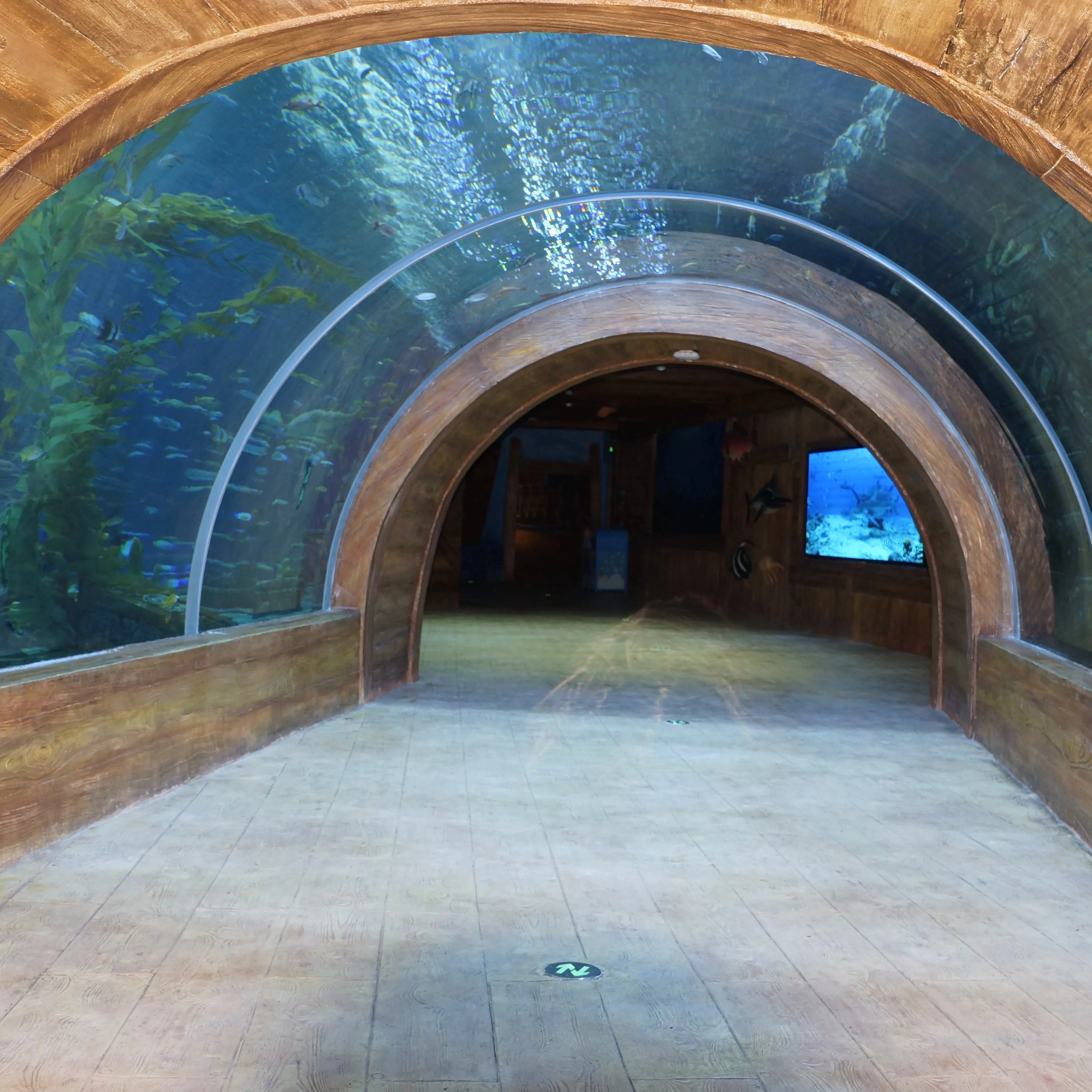 Acrylic Tunnel Customer's Demand by Xchacrylic 1