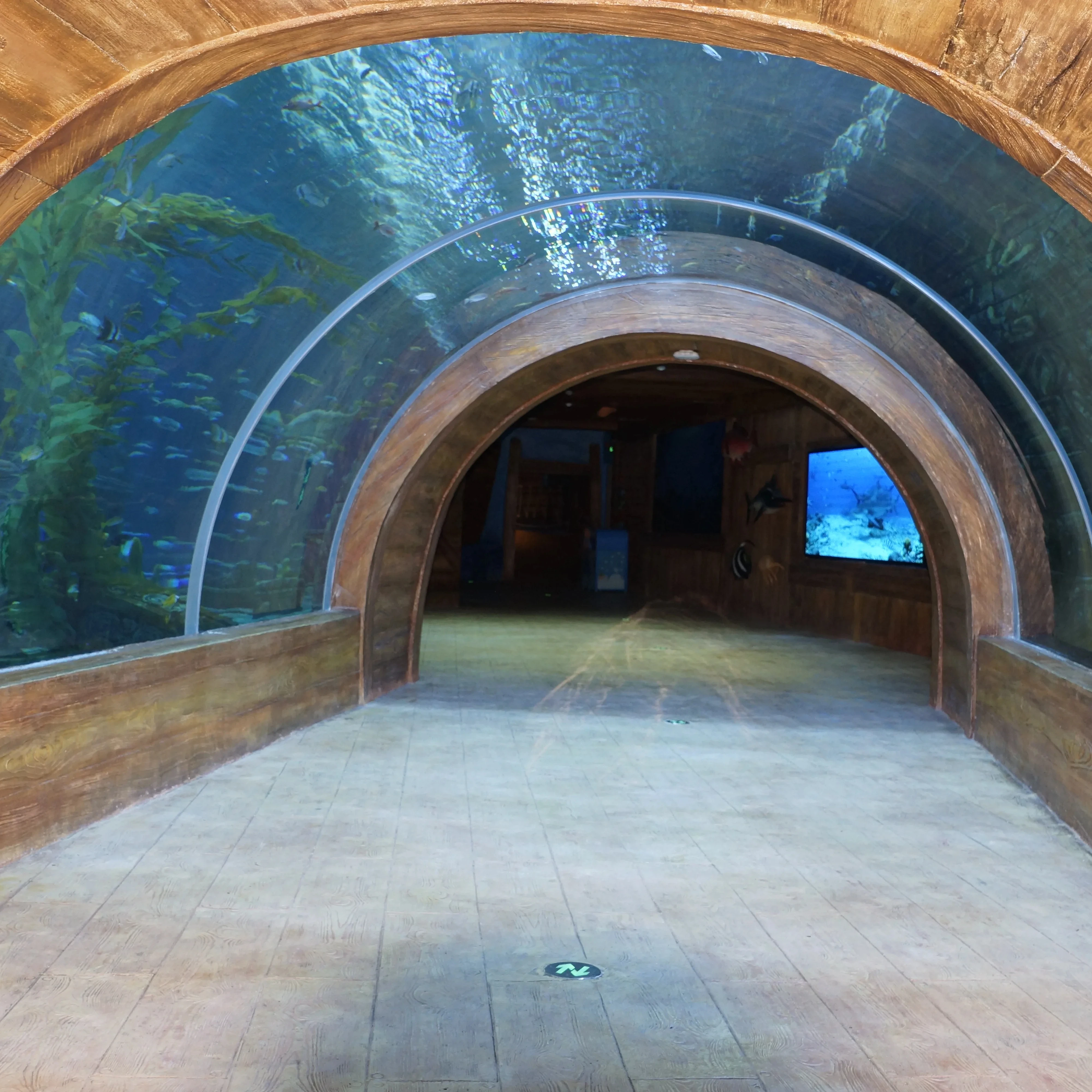 2023 Factory Acrylic Tunnel Aquarium Project Presyo 1