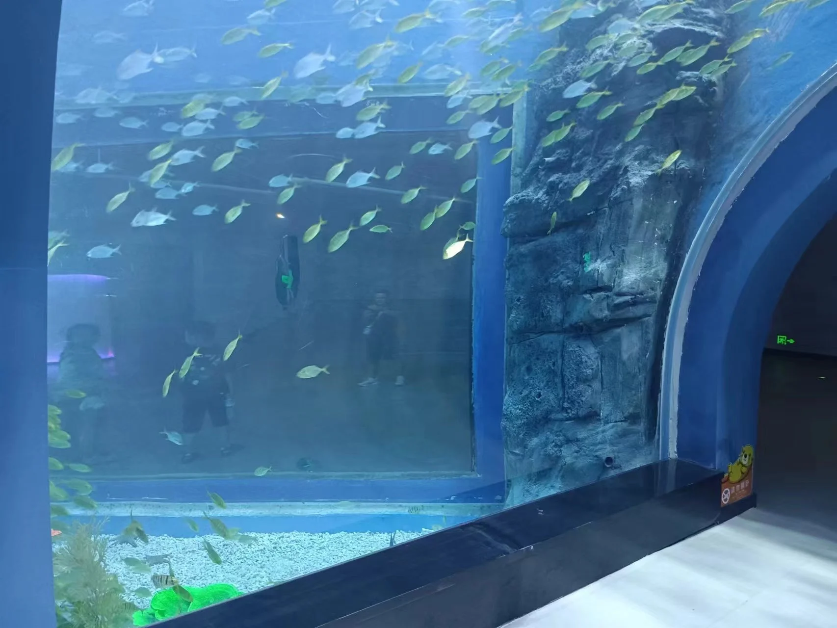 Tunnel Aquarium Customer's Demand - - Xchacrylic-1 3